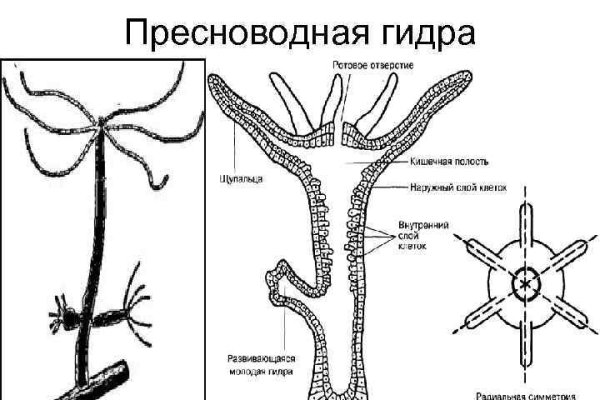 Кракен сайт 1kraken me вход