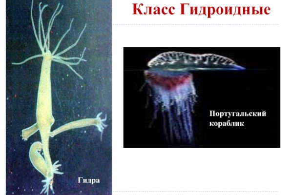 Кракен актуальные