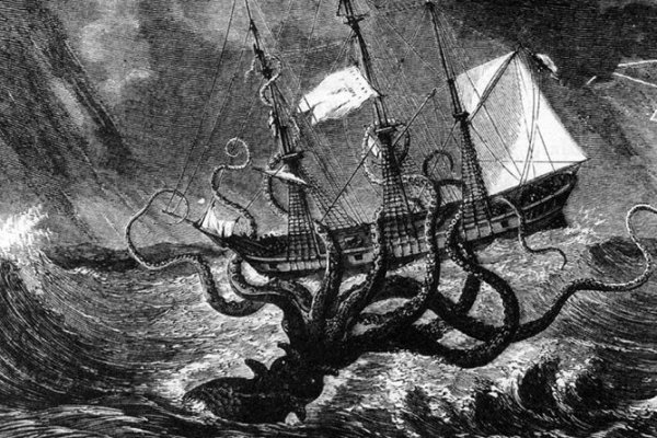 Kraken onion link